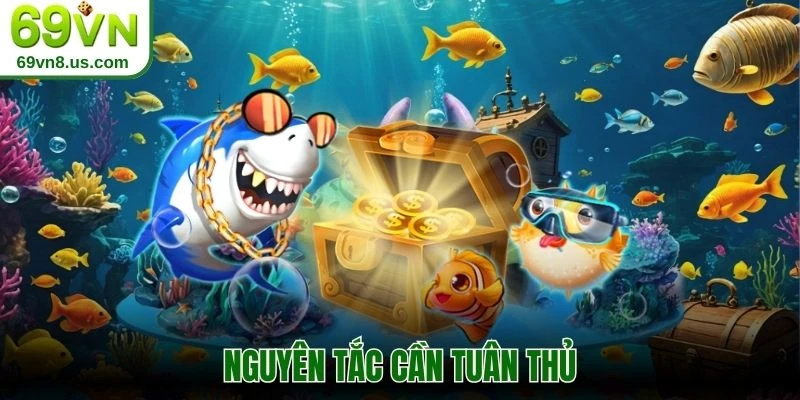 Nguyên tắc cần tuân thủ